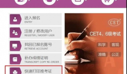 四六级准考证官网打印入口,轻松获取考试凭证攻略