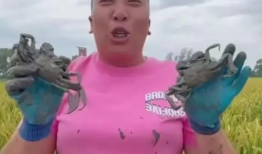 抓螃蟹的视频,海洋捕捞的精彩瞬间